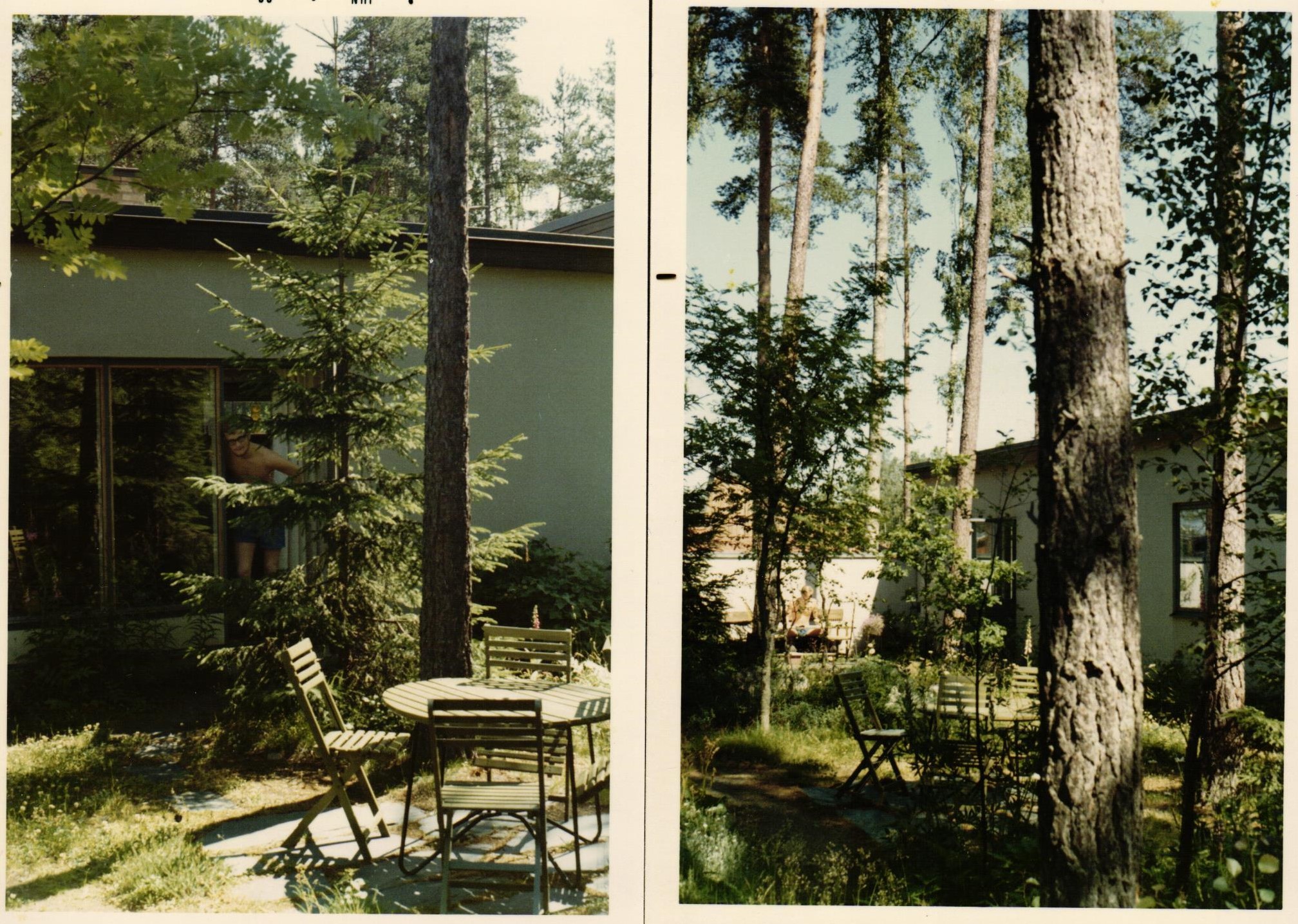 Lapukinu ģimenes māja Erebrū. 1960.g.