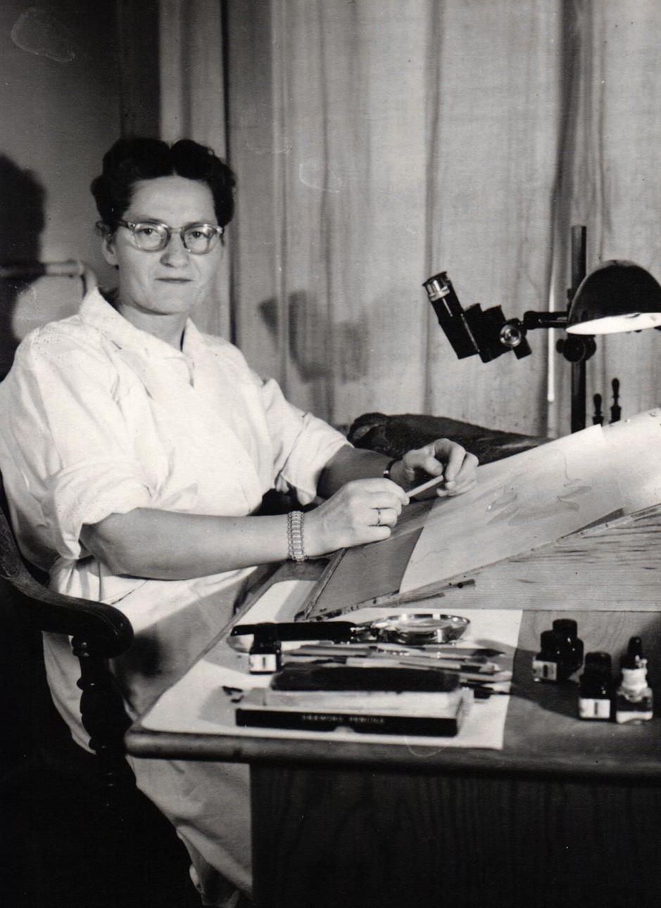 S. Samsone zīmējot darbā Zviedrijas Dabas vēstures muzejā Stokholmā. 1956. gada janvāris.
