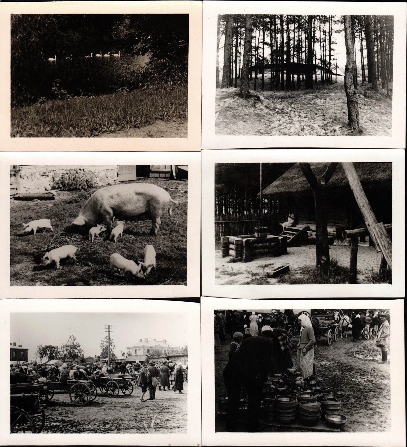 Latvijas ainavu u.c. skatu fotogrāfijas. Fotogrāfs: Ģ. Ārvaldis. 1930. – 1940. gads.